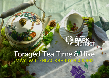 cute nature tea cup and tea pot with "foraged tea time and hike, may: wildblackberry blooms" written in white and green font
